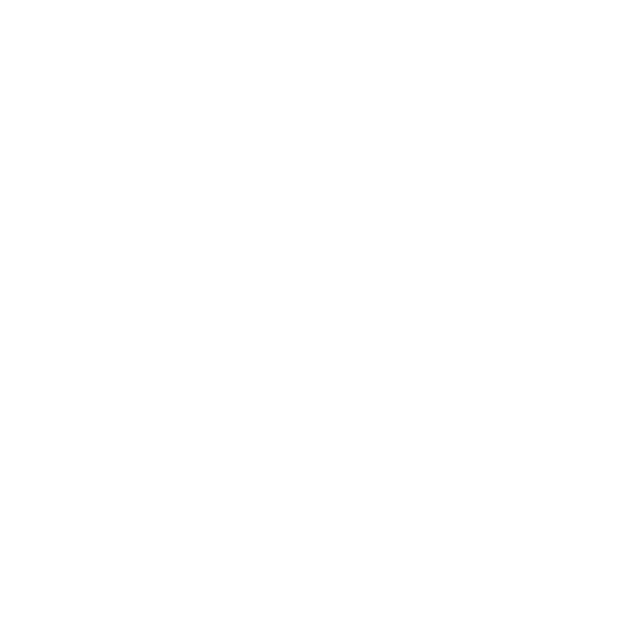 The Muslim Company